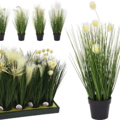 PLANTA PAMPA SURTIDO