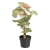 Planta Decorativa Rojo Verde PVC 40 X 35 X 55 Cm
