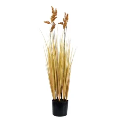 Centro Plumeros 27x27x84 Cm