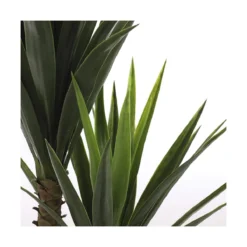 Planta Decorativa Mica Decorations Yucca (120 X 60 Cm) -Ofertas Verdi Jar Tienda 1061da742110b4f688e12c1ab8194596906a0a10 aabc321407ec428d82fb8f74dcf1c5df