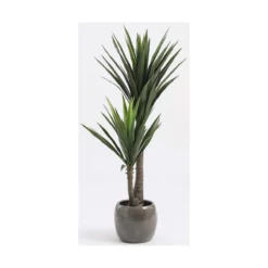 Planta Decorativa Mica Decorations Yucca (120 X 60 Cm) -Ofertas Verdi Jar Tienda 13a8475898ec53d65fb7e01205ba65ed07cd59fc 79ffdb04243f47379a3fe482cda14e20