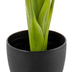 Planta Decorativa Verde 95 Cm Cala -Ofertas Verdi Jar Tienda 1cac7fa21a6dfd974fbfbe936adc3f6ccb45ee49 50d2a69d2f454cc59fa13a3819eaddea