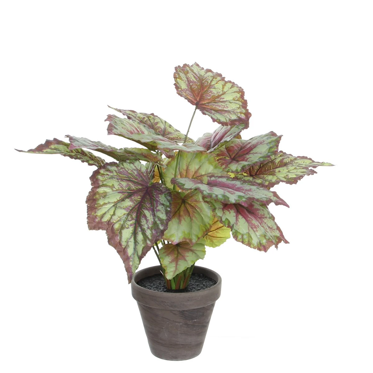 Planta Artificial BEGONIA Marca MYCA 1 Planta Artificial BEGONIA Marca MYCA