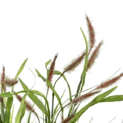 Ofertas Verdi Jar Tienda 10 Ofertas Verdi Jar Tienda -Ofertas Verdi Jar Tienda 3393dd0dd5c8a00a44b672310549ae0381926bd5 a45681391e3244faa2ab33bba6530181