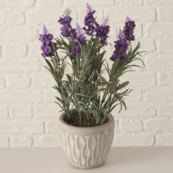 PLANTA EN MACETA LAVENDEL