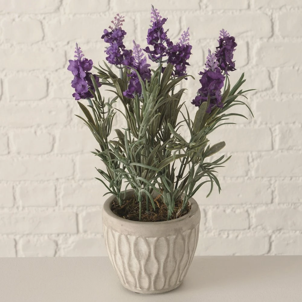 PLANTA EN MACETA LAVENDEL