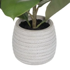 Planta Decorativa Verde PVC Roble 58 Cm -Ofertas Verdi Jar Tienda 3b93953a1fd6e366c0587cf64541f85d0366bfa6 173ec83ddd0d466fb8fadd5c1feecf3a