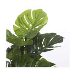 Planta Decorativa Mica Decorations (75 X 100 Cm) -Ofertas Verdi Jar Tienda 3bde5c50d9517ead6e6445400a01f82535d612f9 2734abd928a74fe1a70ed150a5076d1a