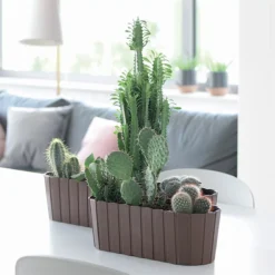 Prosperplast Jardinera Para Balcón BOARDEE BASIC 7,9L., Dimensiones (mm) 587x144x130, Color Gris Piedra -Ofertas Verdi Jar Tienda 3d30c8298805b11e9a8cffd5e1b25e717d657876 3aee714da4ea4c4f80096d1ea215f0c0