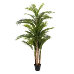 Planta Decorativa Areca Verde 189 Cm
