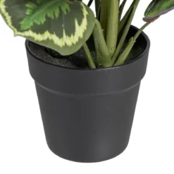 Planta Decorativa 37 X 37 X 41 Cm Verde PVC -Ofertas Verdi Jar Tienda 532257ff1cb8eb7c8b4ab1fa698926e27d7a59c2 a3f96dd6deb6415d90f13b98c12a0cf0