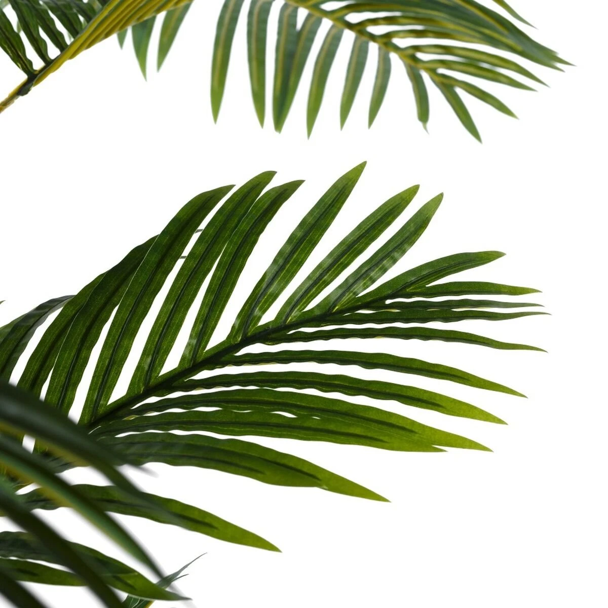 Planta Decorativa 100 X 130 X 210 Cm Verde PVC Palmera 3 Planta Decorativa 100 X 130 X 210 Cm Verde PVC Palmera - Imagen 3