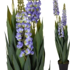 PLANTA LIRIO SURTIDA