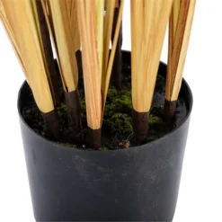 Centro Plumeros 27x27x84 Cm -Ofertas Verdi Jar Tienda 5a13ec20cc1bd8a5e210d2c6a494e4a72fbe17fe 5e8f3a43e9a44c72837d5ca4fe9cb671