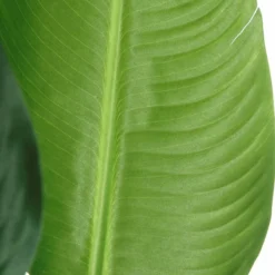 Planta Decorativa Verde PVC 150 Cm Ave Del Paraíso -Ofertas Verdi Jar Tienda 6015b7f537383a5a1d8795061945a931df1111b3 97f83883e90641669feca3da86595c27