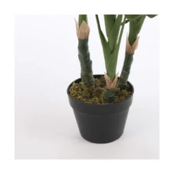 Planta Decorativa Mica Decorations (75 X 100 Cm) -Ofertas Verdi Jar Tienda 6b05c24266d698344baa5f048e45ce54fa16a276 2de524cc714b47ea931e337813aa00e9