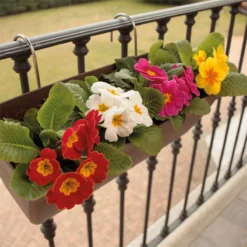 Jardinera 60 Cm Con Soporte De Fijación Curvo -Ofertas Verdi Jar Tienda 6e2801b8d11e938474dae31635e42ca5bddd0b54 67f496abcbbc419497c5d78b92ee76b9