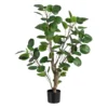 Planta Decorativa 80 X 77 X 113 Cm Verde PVC Aralia