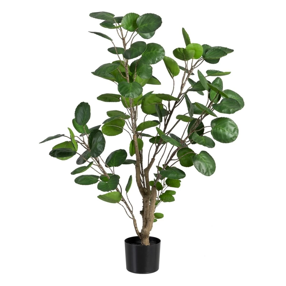 Planta Decorativa 80 X 77 X 113 Cm Verde PVC Aralia 1 Planta Decorativa 80 X 77 X 113 Cm Verde PVC Aralia