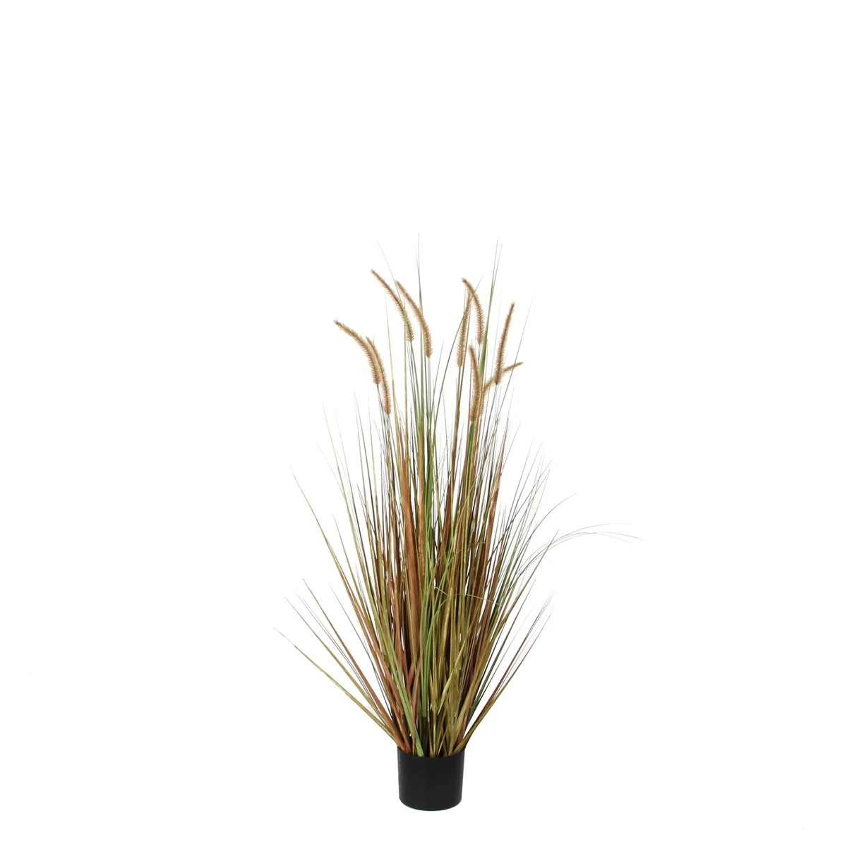 Planta Artificial DOGTAIL Marca MYCA 1 Planta Artificial DOGTAIL Marca MYCA