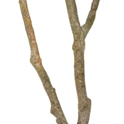 Planta Decorativa 116 Cm Verde PVC Roble 10 Planta Decorativa 116 Cm Verde PVC Roble -Ofertas Verdi Jar Tienda 70a11d799c5a77809cfd5a80ccd78a5366ae6cb7 64a19f67441c465f910758617740f553