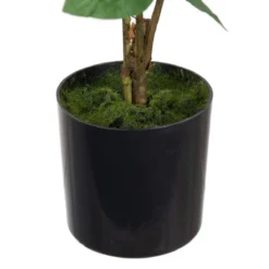 Planta Decorativa 24 X 20 X 38 Cm Crema Peonía -Ofertas Verdi Jar Tienda 7fbab803d0ab7556c998514eea4839784200035d 9a533ff8c7e94cfcb4dd7b299ee45e30