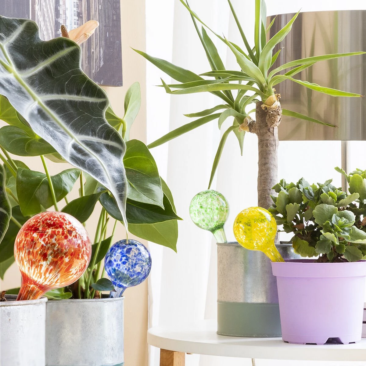 Globos De Riego Automático Ballwooters InnovaGoods 4 Unidades 2 Globos De Riego Automático Ballwooters InnovaGoods 4 Unidades - Imagen 2