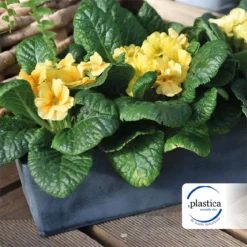 Jardinera 30 Cm -Ofertas Verdi Jar Tienda 84d8f336b56426a00c255620812cf7cd22333e34 28600d931b2c484caa72e377cc0113f3