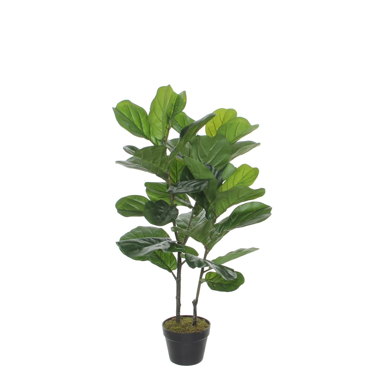 Planta Artificial FICUS De La Marca MICA DECORATIONS 1 Planta Artificial FICUS De La Marca MICA DECORATIONS