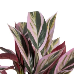 Planta Decorativa 44 X 39 X 48 Cm Rosa Verde PVC -Ofertas Verdi Jar Tienda 8cb87acdc41ad49c0933cad45bcd853d51f6a5fb 6a71403e8149491985cc95fcb91c6acf