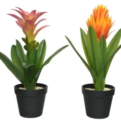 Planta BROMELIA 40cm Colores Surtidos