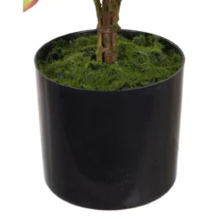 Planta Decorativa 36 X 30 X 44 Cm Crema Peonía 5 Planta Decorativa 36 X 30 X 44 Cm Crema Peonía -Ofertas Verdi Jar Tienda a6835ab71a4950389bc50c239e639c10a900ff10 33c2991d23be4146a17e8c88df200dd9