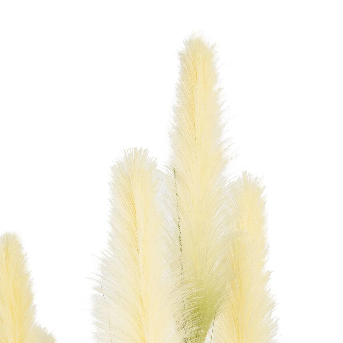 Planta Decorativa 44 X 48 X 200 Cm Verde Crema PVC 2 Planta Decorativa 44 X 48 X 200 Cm Verde Crema PVC - Imagen 2