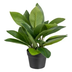 Planta Decorativa 50 X 45 X 48 Cm Verde PVC