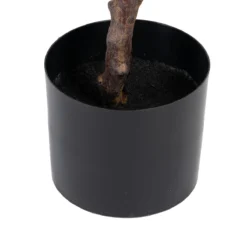 Planta Decorativa 67 X 62 X 100 Cm Verde Caucho PVC -Ofertas Verdi Jar Tienda b8ce9fac0d1078a79faf29b73a9ff7f3d365c56f 540c62496581456b9a8c312293eddf5c