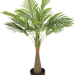 PLANTA PALMERA