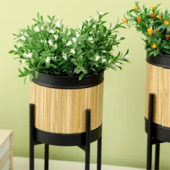 Outsunny Juego De 2 Soportes Para Plantas De Metal Cubierta De Totora Soportes Para Macetas Maceteros Redondos Para Salón Cocina Dormitorio Ø16x30 Cm Y Ø14x25,5 Cm Negro 15 Outsunny Juego De 2 Soportes Para Plantas De Metal Cubierta De Totora Soportes Para Macetas Maceteros Redondos Para Salón Cocina Dormitorio Ø16x30 Cm Y Ø14x25,5 Cm Negro -Ofertas Verdi Jar Tienda bf972b73440519e1a7cec816f01620e52d0afddd 72de263da96740c89f0dfdf6c393b6dd