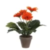 PLANTA GERBERA NARANJA