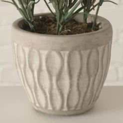 PLANTA EN MACETA LAVENDEL -Ofertas Verdi Jar Tienda d54c88b6afacea0e3498a52d8a3f63ce8cbee247 100557