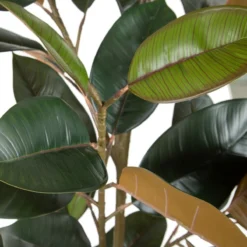 Planta Decorativa 49 X 45 X 125 Cm PVC Ficus Verde Oscuro -Ofertas Verdi Jar Tienda db155547d3df48a8fb74c4580fc8f6f6fd472c0e 619a52a3134f44b08286e0083f6e5da4