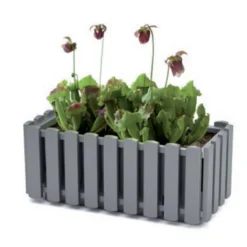 Prosperplast Jardinera Para Balcón BOARDEE FENCYCASE, Dimensiones (mm) 580x180x162, Color Gris Piedra -Ofertas Verdi Jar Tienda e045dccf79b00b708ca6c7fb785ce60bfeaeebb1 b2a6950a27354dab82db87cb092627ee