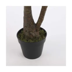 Planta Decorativa Mica Decorations Yucca (120 X 60 Cm) -Ofertas Verdi Jar Tienda e58e491237ed1ea61d1d6406727910c0bad0a827 5381621f04c045ceac59fad7e6ce2386