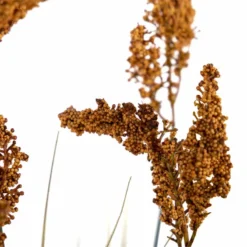 Centro Plumeros 27x27x84 Cm -Ofertas Verdi Jar Tienda e82e5843de234ae212523960dd6504627a8f075f cbf3b69e4dbc4c4d884f124e0e207b42