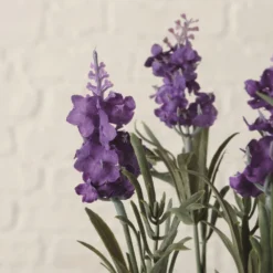 Ofertas Verdi Jar Tienda 5 Ofertas Verdi Jar Tienda -Ofertas Verdi Jar Tienda e861915e5a6a5cca1522dea0b7d6fd00071b3de8 100557 1