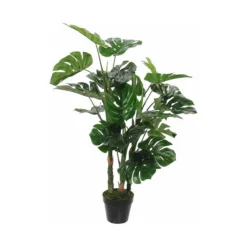 Planta Decorativa Mica Decorations (75 X 100 Cm) -Ofertas Verdi Jar Tienda ebfbc7e5e3cf36e20552394f450f7b575ddd6d1c 1a6e2ac5fbd842358cfbba92cc8b0d81