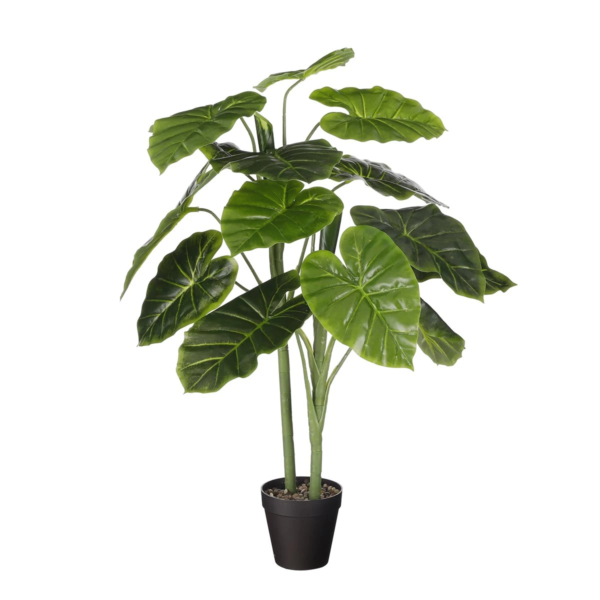 Planta Artificial ALOCASIA De La Marca MICA DECORATIONS 1 Planta Artificial ALOCASIA De La Marca MICA DECORATIONS