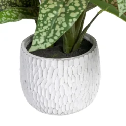 Planta Decorativa Verde PVC 52 X 44 X 44 Cm -Ofertas Verdi Jar Tienda f74c7ad4ef201597ea8b9321221c7176028d0d52 293d983d1116485f8e2e7c7a5fb0a7a6