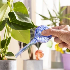 Globos De Riego Automático Ballwooters InnovaGoods 4 Unidades 11 Globos De Riego Automático Ballwooters InnovaGoods 4 Unidades -Ofertas Verdi Jar Tienda f902cae77b0a591bcf5a2049e0d3c5c8b4582d7f 283ee0ec3d5642b5a9bbcf075fb6b8ca