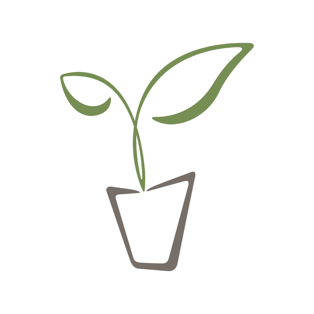 Ofertas Verdi Jar Tienda