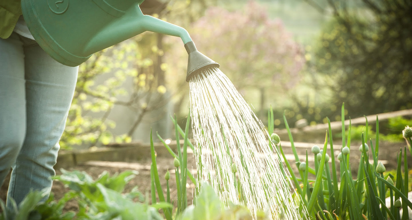Ofertas Verdi Jar Tienda 2 Ofertas Verdi Jar Tienda -Ofertas Verdi Jar Tienda water geven in de tuin